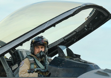 Exercise PHOENIX ARMOR