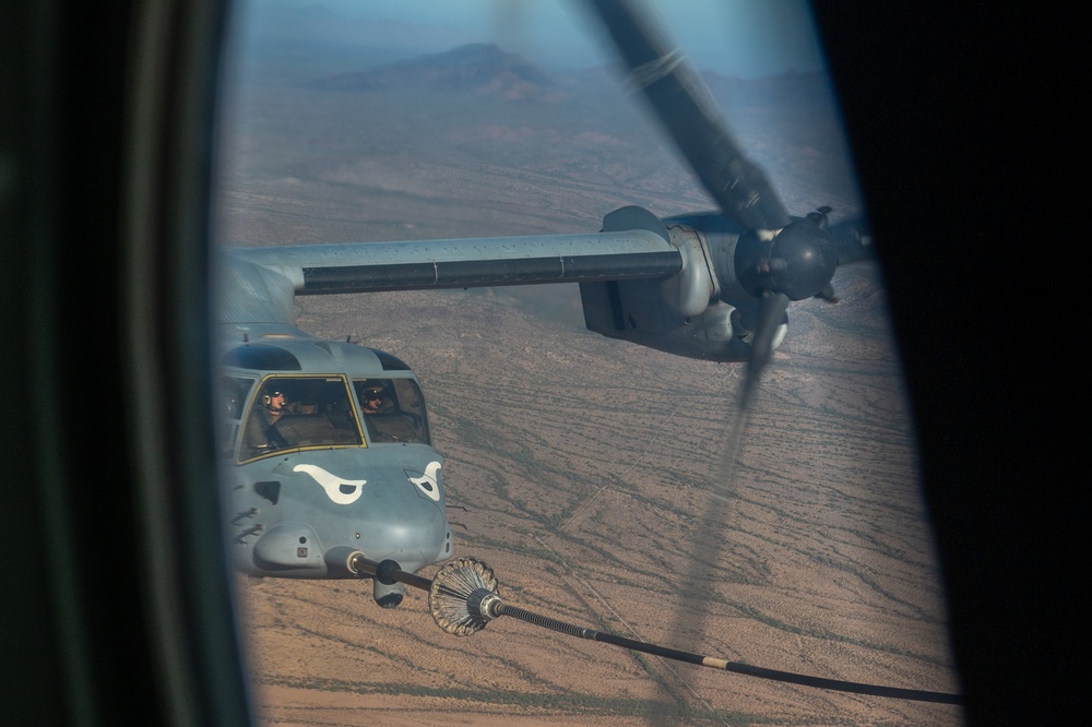 Desert Hammer 2024: Pioneering Joint Force Interoperability