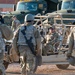 Desert Hammer 2024: Security Forces Forge the Shield of Mission Readiness