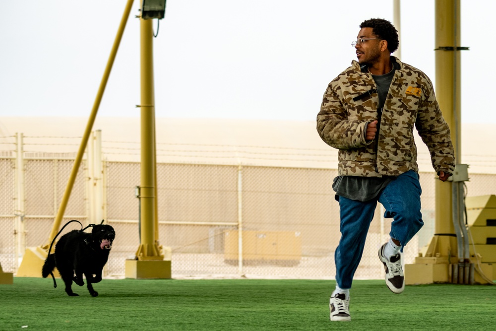 Actor Anthony Anderson tours the 379th AEW