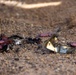 3D MAW and MCAS Miramar EOD conduct an Explosives Disposal Range