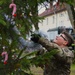 Forward Stationed Soldiers in Bemowo Piskie, Poland, decorate the base Christmas tree in celebration of the Holidays December 2, 2024