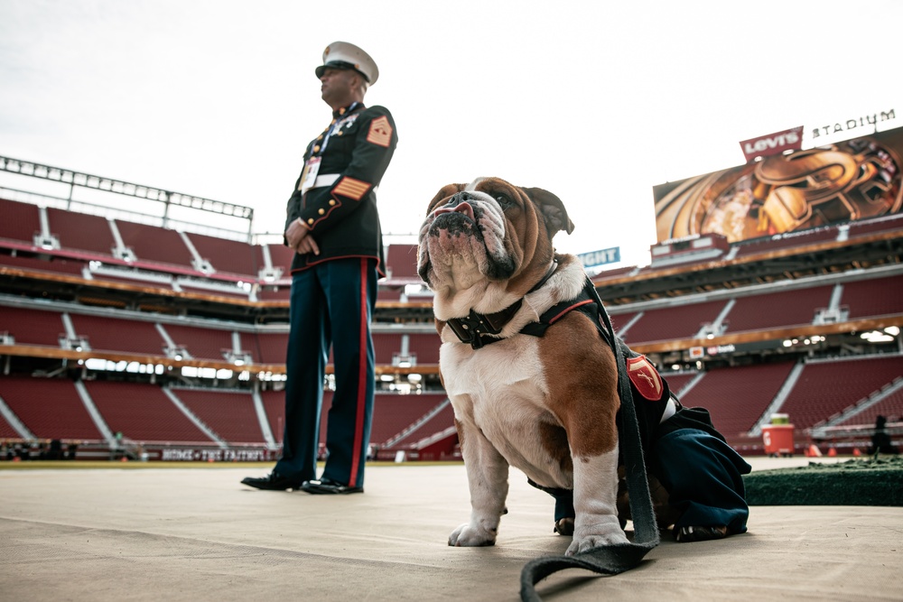 San Francisco 49ers Salute to Service Game