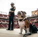 San Francisco 49ers Salute to Service Game