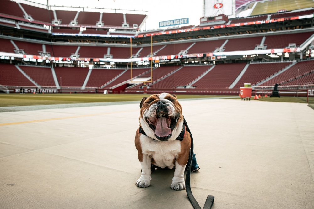 San Francisco 49ers Salute to Service Game