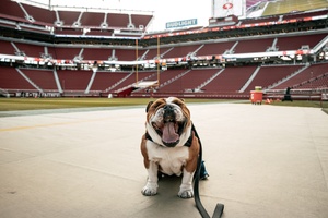 San francisco 49ers Shout-Out