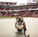 San Francisco 49ers Salute to Service Game