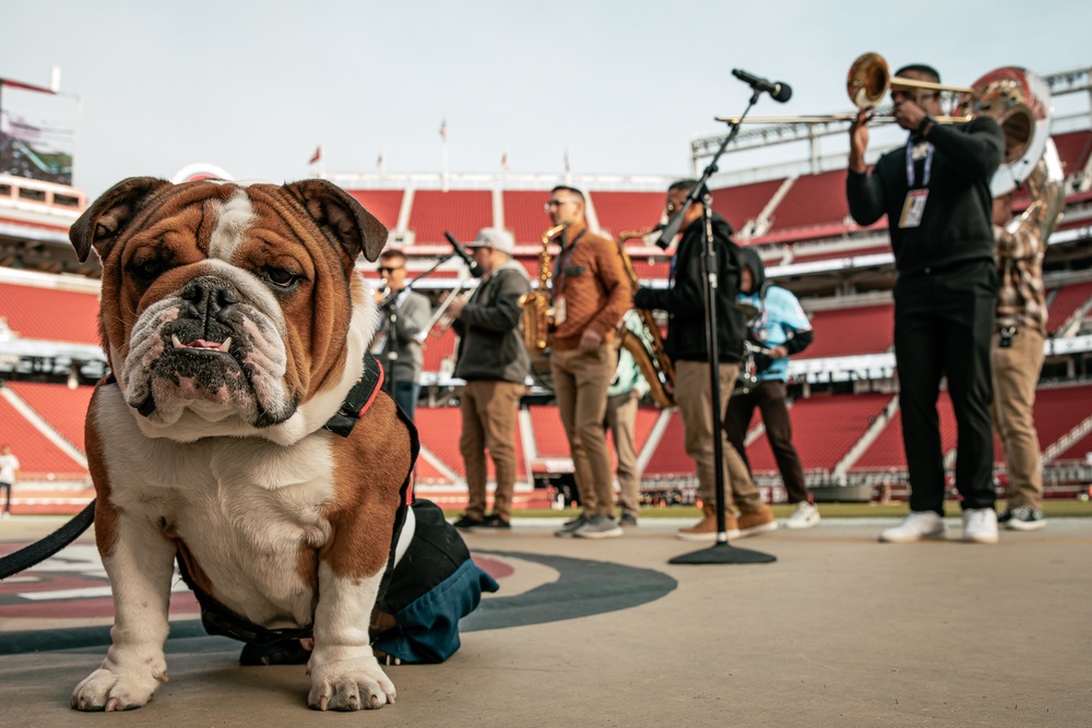 San Francisco 49ers Salute to Service Game