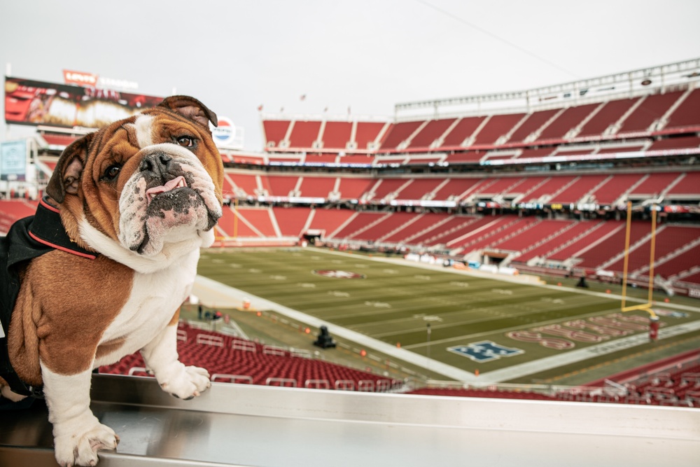 San Francisco 49ers Salute to Service Game