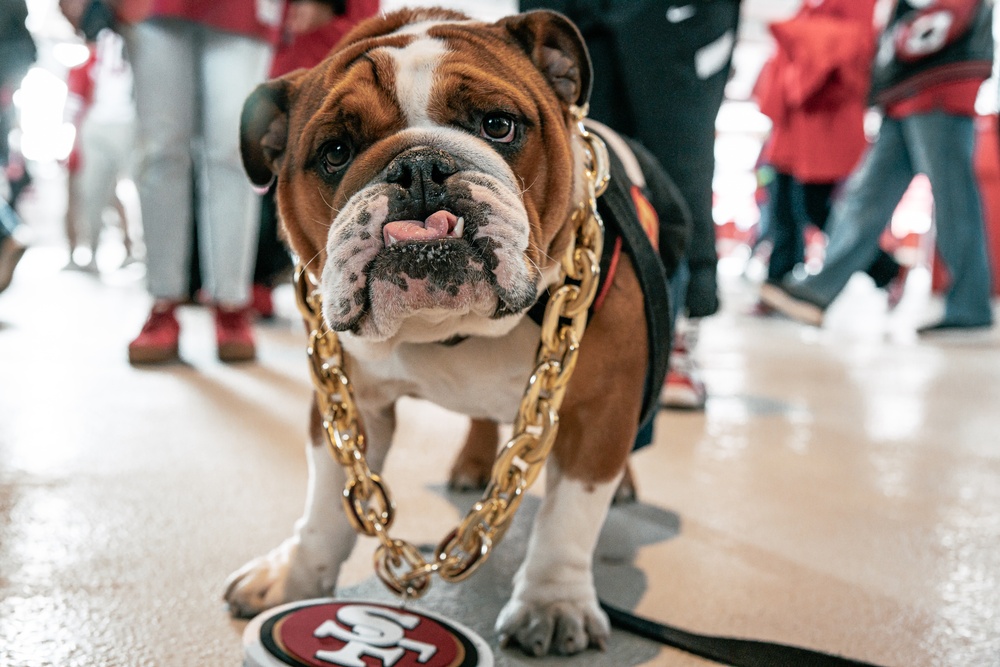 San Francisco 49ers Salute to Service Game