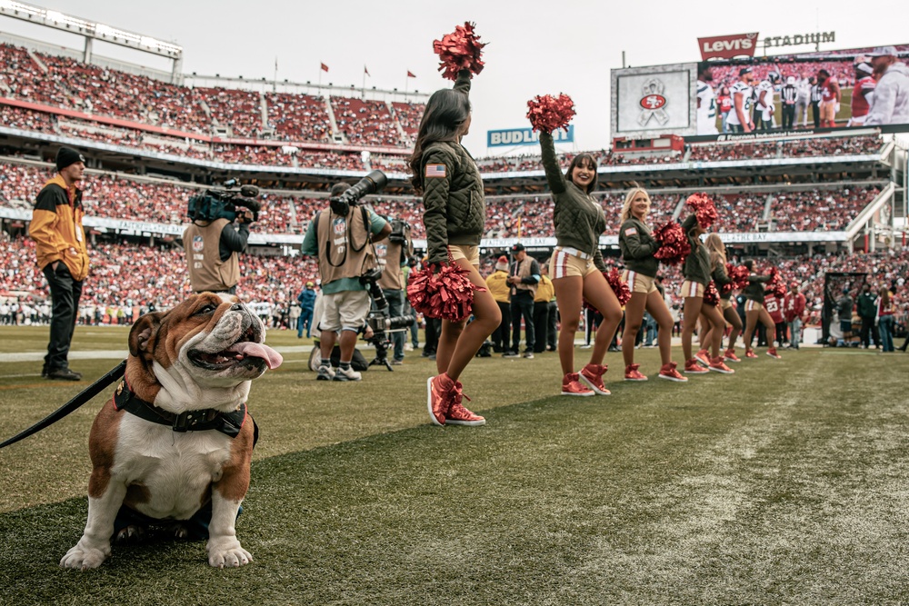 San Francisco 49ers Salute to Service Game