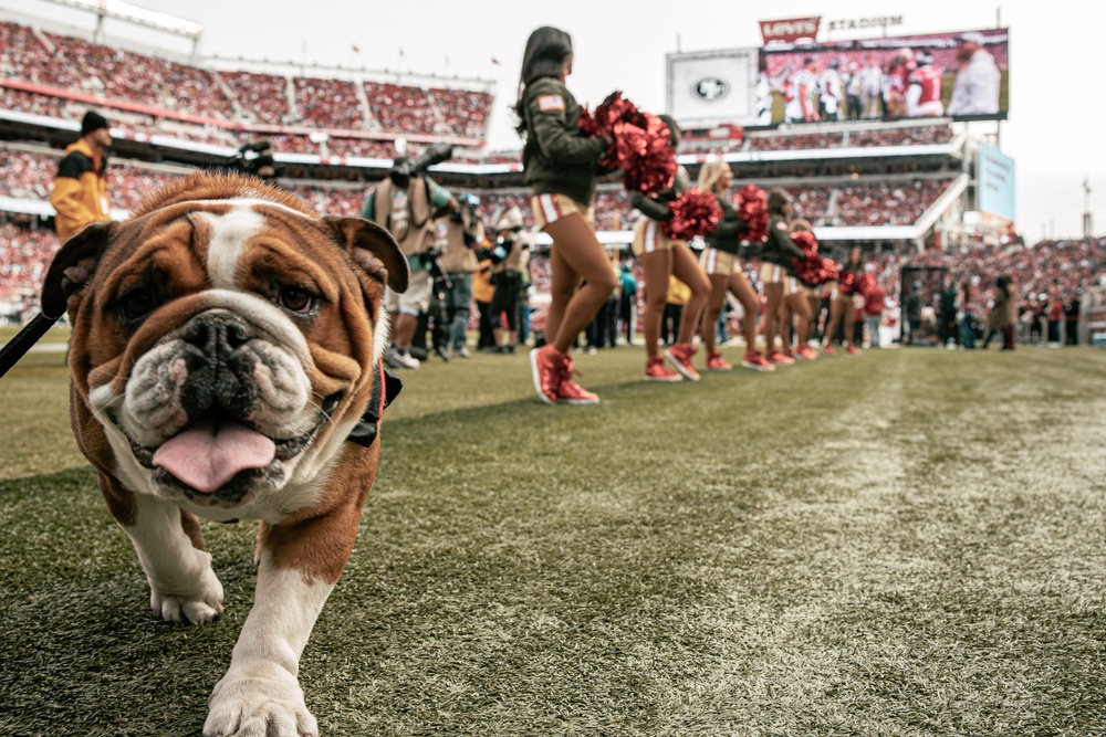 San Francisco 49ers Salute to Service Game