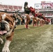 San Francisco 49ers Salute to Service Game