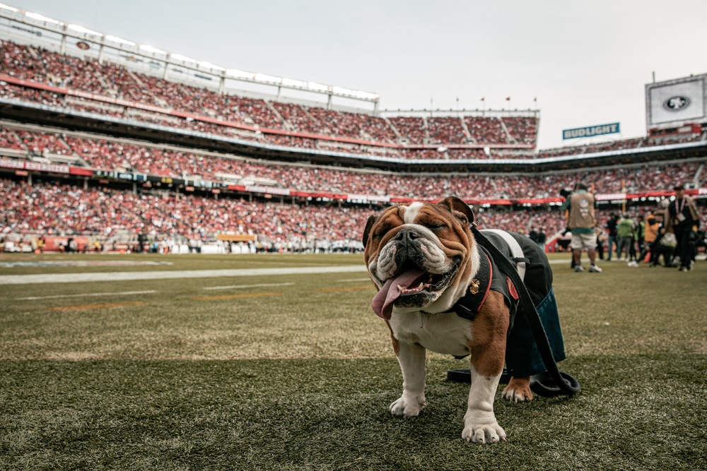 San Francisco 49ers Salute to Service Game