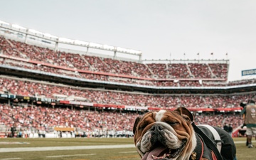 San Francisco 49ers Salute to Service Game