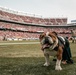 San Francisco 49ers Salute to Service Game