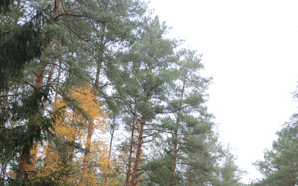 Forward Stationed Soldiers in Bemowo Piskie, Poland, demonstrate Excellence in traditional Spur Ride