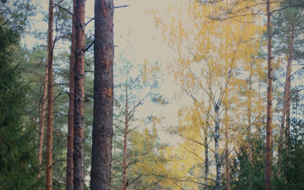 Forward Stationed Soldiers in Bemowo Piskie, Poland, demonstrate Excellence in traditional Spur Ride