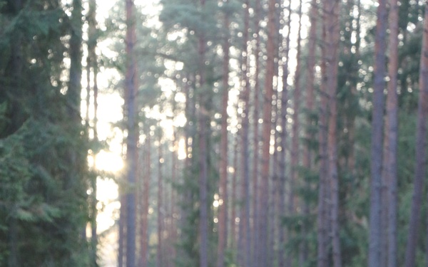 Forward Stationed Soldiers in Bemowo Piskie, Poland, demonstrate Excellence in traditional Spur Ride