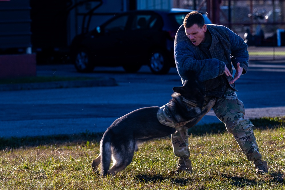 31st MXS immerses with K9s