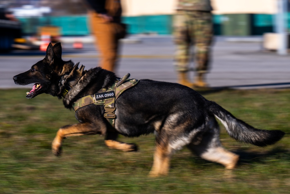 31st MXS immerses with K9s