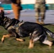 31st MXS immerses with K9s