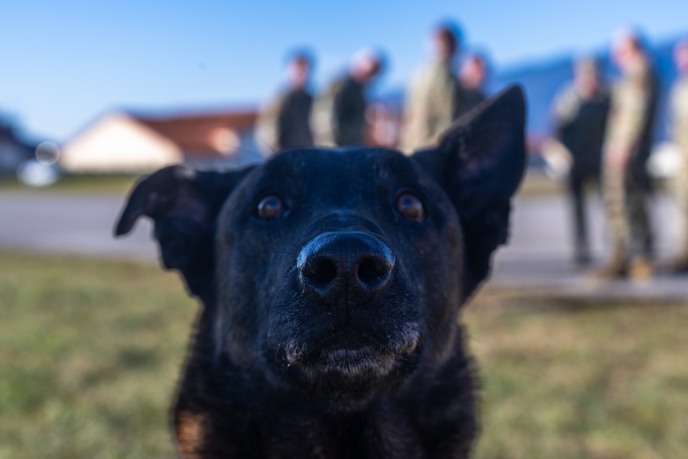 31st MXS immerses with K9s