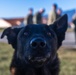 31st MXS immerses with K9s