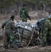 352d SOW Airdrops Supplies to Swedish Forces During Adamant Serpent 25