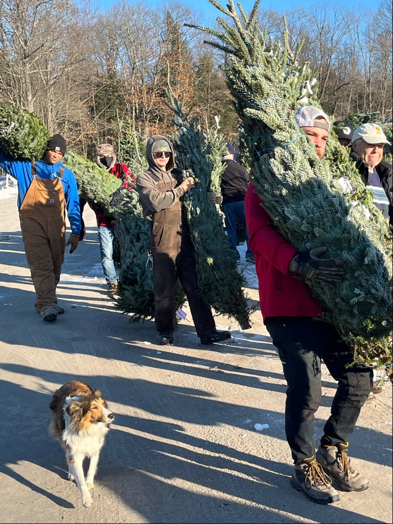 New York National Guard Soldiers Volunteer to Boost Trees for Troops