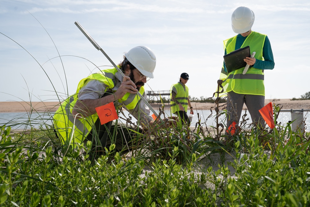 Living Infrastructure - A Dune Extraction