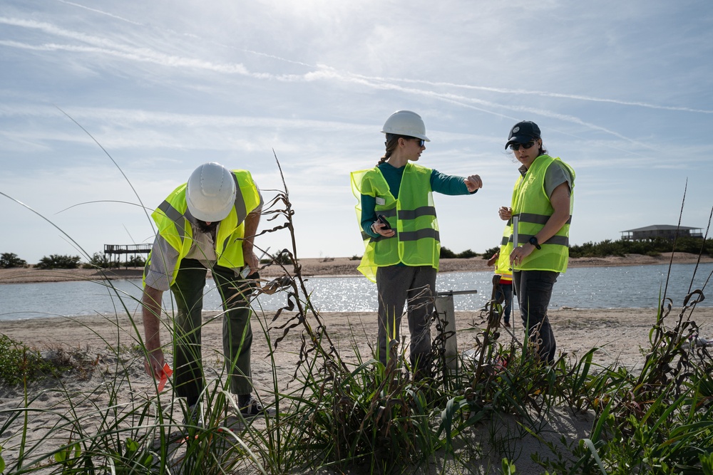 Living Infrastructure - A Dune Extraction