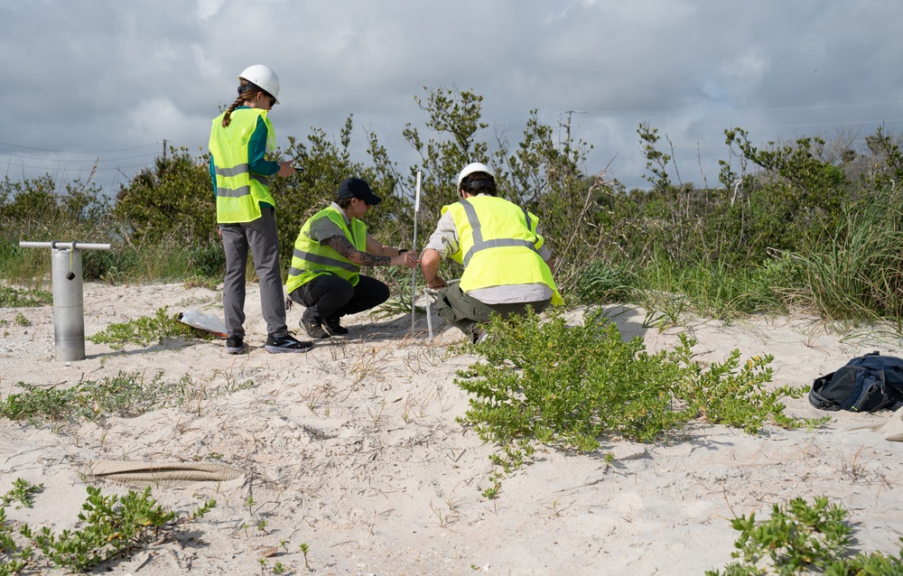 Living Infrastructure - A Dune Extraction