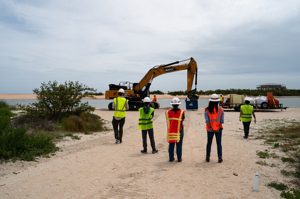 Living Infrastructure - A Dune Extraction