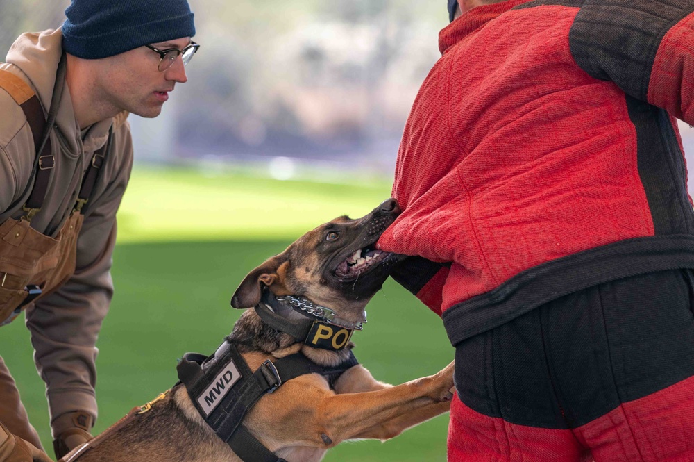 Street Level Two K9 Seminar