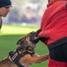 Street Level Two K9 Seminar