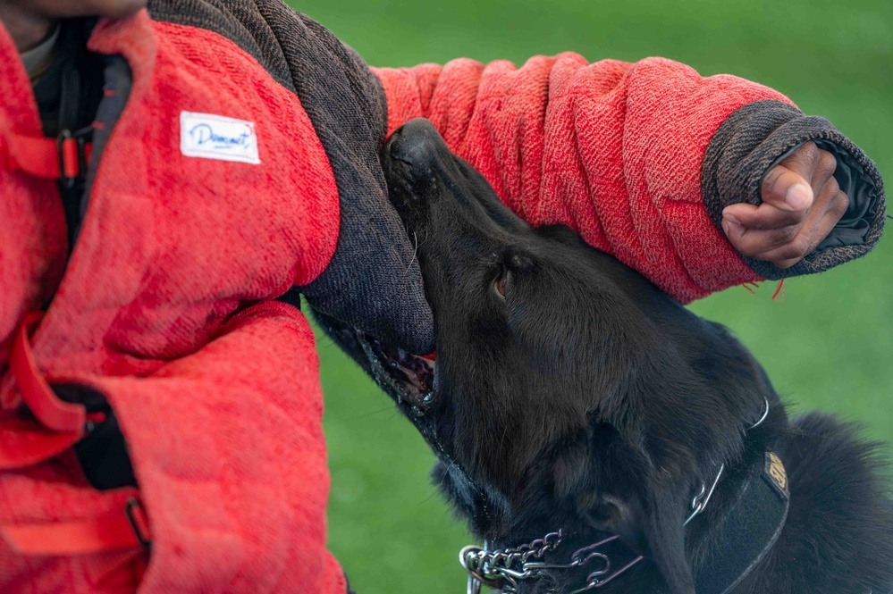 Street Level Two K9 Seminar