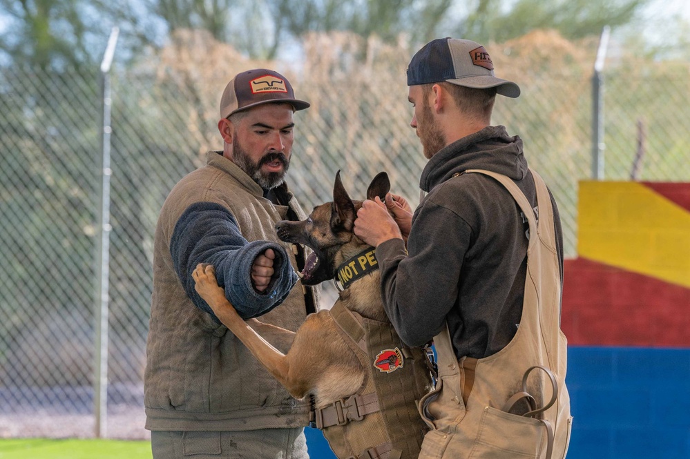 Street Level Two K9 Seminar