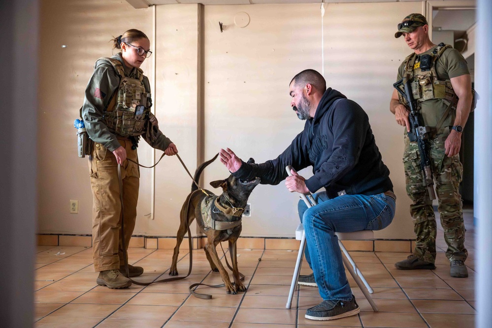 Street Level Two K9 Seminar