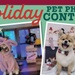 Yappy Holidays! Festive Pets Can Fetch Up to $3,000 in Prizes in Exchange’s Photo Contest