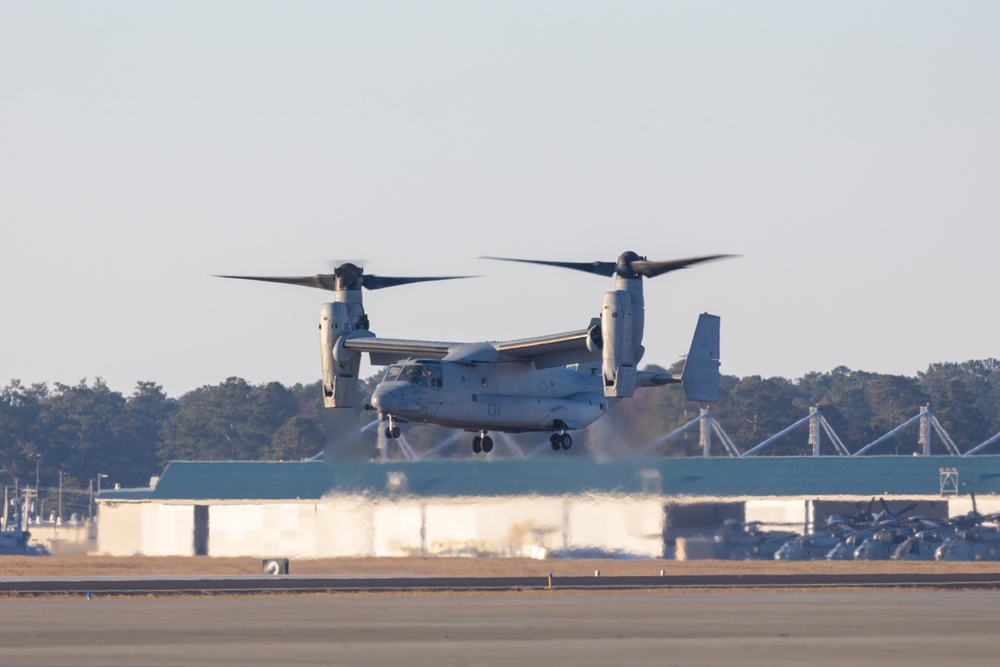 VMM-365 (REIN) homecoming