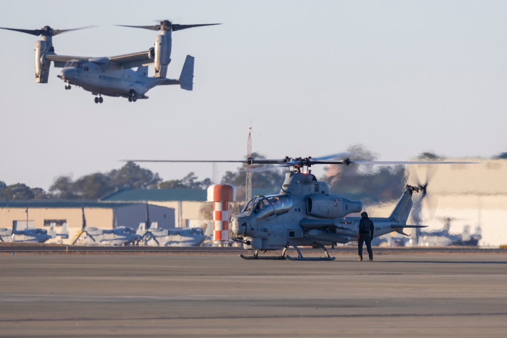 VMM-365 (REIN) homecoming