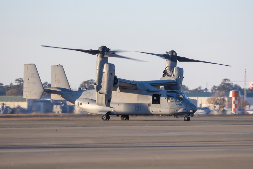 VMM-365 (REIN) homecoming