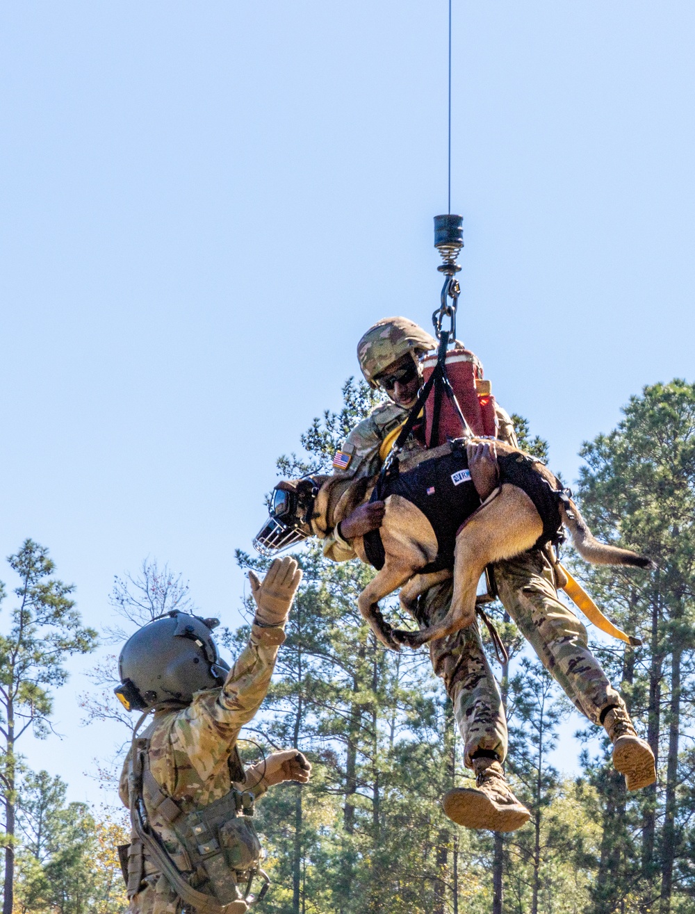 50th MP MWD takes flight with Cajun DustOff