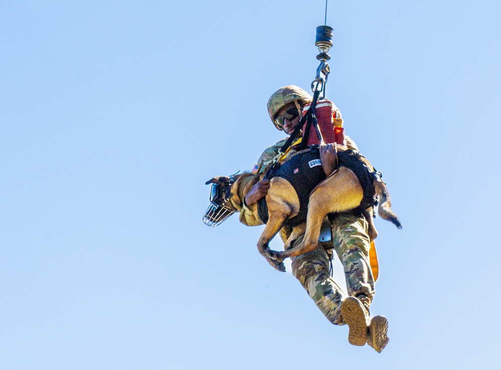 50th MP MWD takes flight with Cajun DustOff