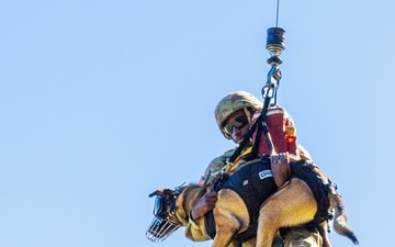 50th MP MWD takes flight with Cajun DustOff