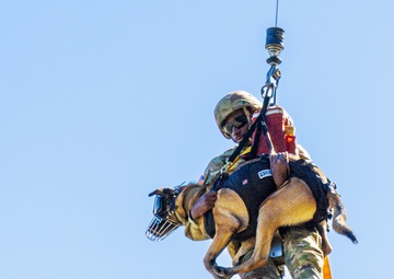 50th MP MWD takes flight with Cajun DustOff