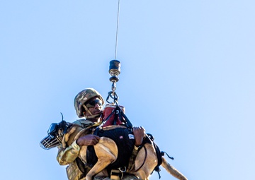 50th MP MWD takes flight with Cajun DustOff