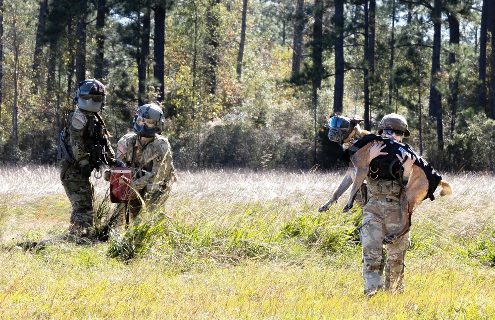 50th MP MWD takes flight with Cajun DustOff