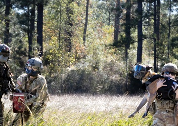 50th MP MWD takes flight with Cajun DustOff